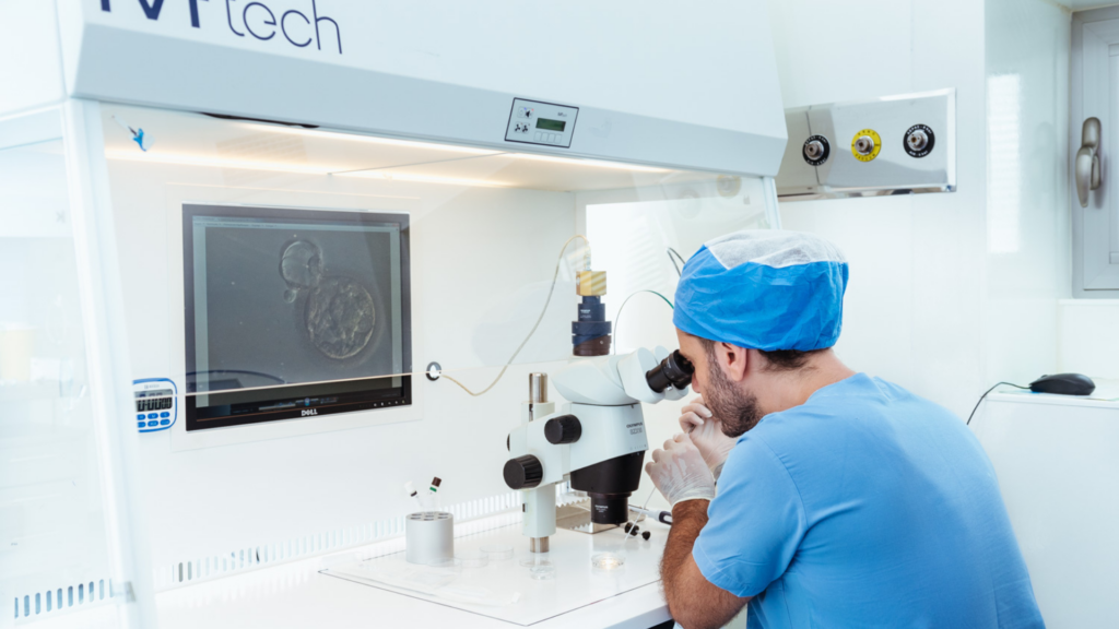 Cryopreservation of Embryos